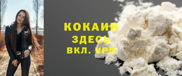 трава Аркадак