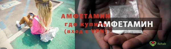 трава Аркадак