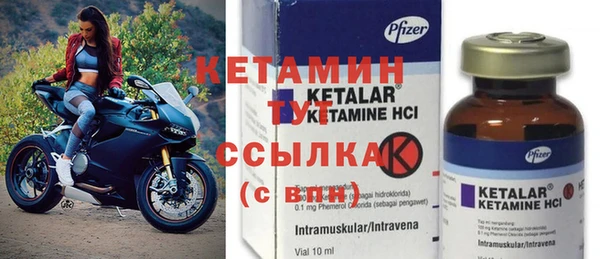 трава Аркадак