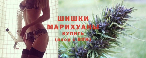 трава Аркадак