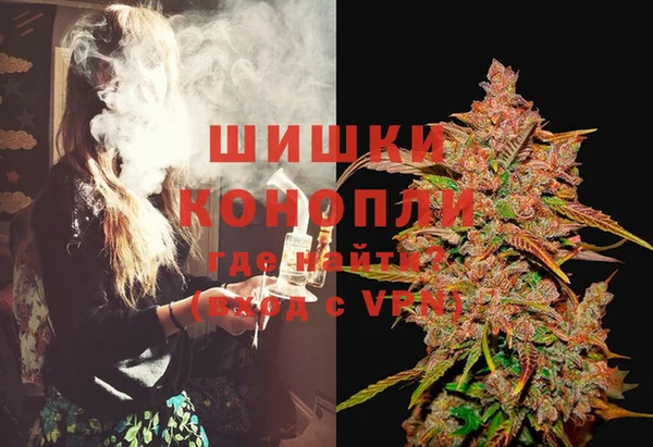 сатива Армянск